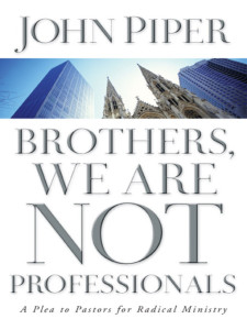 Brothers-We-Are-Not-Professionals book cover